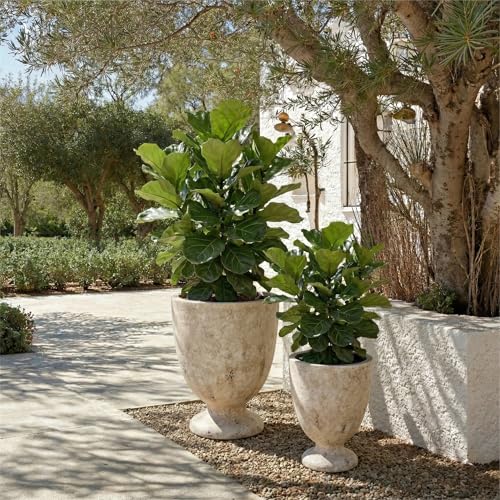 SAFAVIEH Outdoor Ella Concrete Planter Pot, 18.1" Antique White PAT1549B - color: Antique White