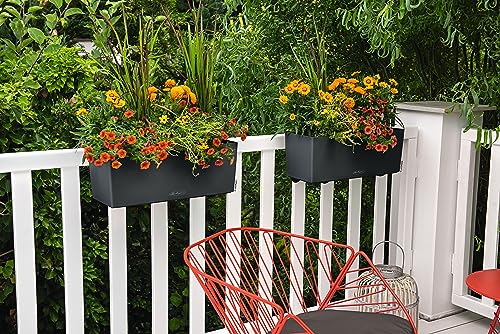 Lechuza BALCONERA Color 50 Slate, Self-Watering Window Box (Railing Planter), H7.5 L19.7 W7.5 in - color: Slate Matte, size: 50 cm, style: 50