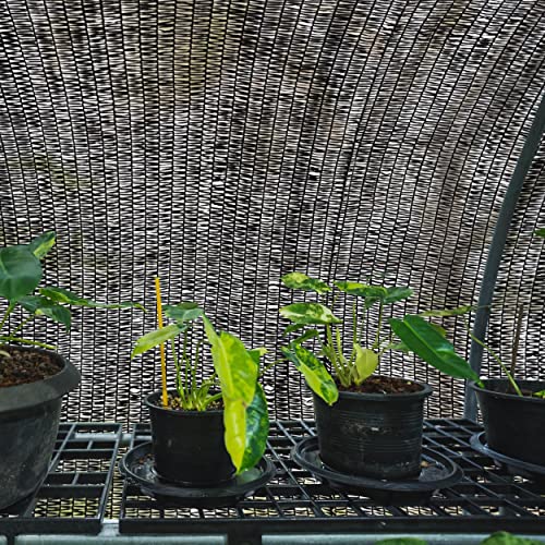 6'x100ft 40% Eyelets Shade Cloth Roll - size: 40% - 6'x100 FT - BLK