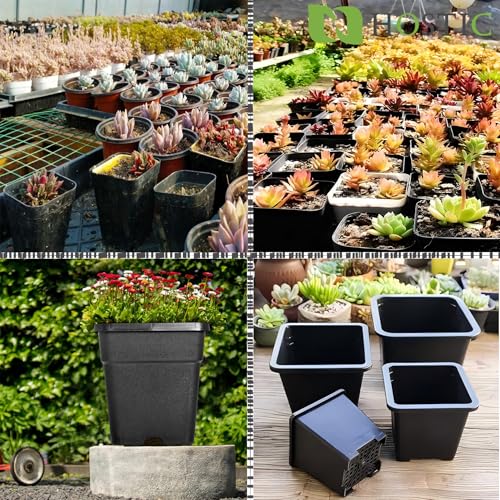 HOSTIC 1 Gallon Square Nursery Pots Flexible Plastic Pots for Plants Gallon Pot with Drainage Holes 10 Pcs - color: Black, size: 1 Gallon-10Pcs