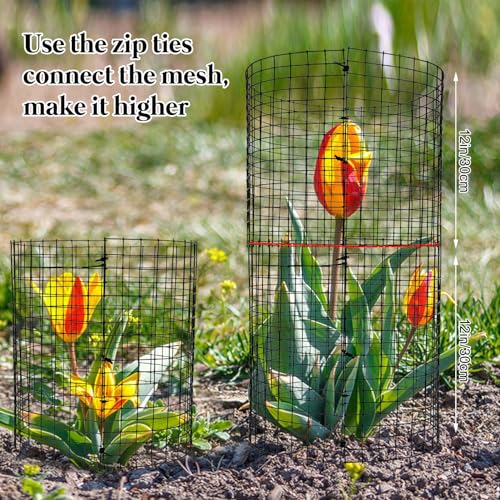 36 PCS Round Plant Protector from Animals, 12Pack 12'' x 12'' Metal Plant Cages,30Pcs Metal Mesh to Keep Animals Out, Garden Protection Bunny Barricades, Wire Plant Protectors for Rabbits Chicken Duck
