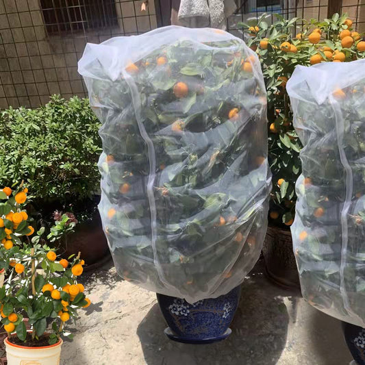 Agfabric Bird Netting 84" Hx72 W Garden Netting Insect Pest Barrier,Plant Cover Fruit Tree Netting Mesh Protection Bag with Drawstring,White - color: 1pack, size: 84"x72"