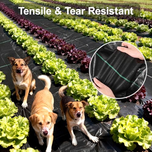 Weed Barrier Landscape Fabric 3FT x 50FT - 3.2oz Heavy Duty Weed Control Mat, High Permeability Woven Geotextile Fabric for Driveway, Gravel, Yard Ground Cover, Greenhouse Gardening - color: Black-3x50FT