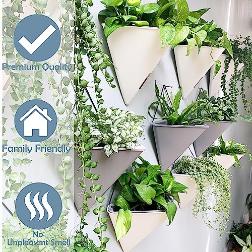 LaLaGreen Succulent Wall Planters (12in, 2 Pack) Large Self Watering Pots - color: Gray X 2 Pack