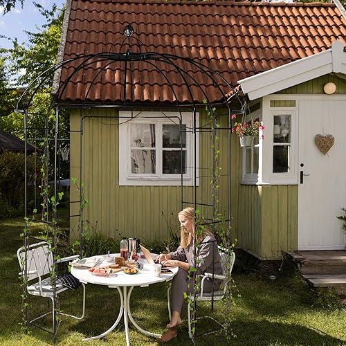 Outvita 9ftx6.8ft Metal Birdcage Garden Arch Arbor
