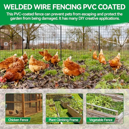 Welded Wire Fence, 50ft(L) x 4ft(H) PVC Anti-Rust Coated Wire Mesh, 2 Inch x 3 Inch 16GA Garden Edging Border, Roll Metal Animal Barrier for Yard Vegetable Plant Protection Poultry Netting - size: 50ft(L) x 48inch(H)