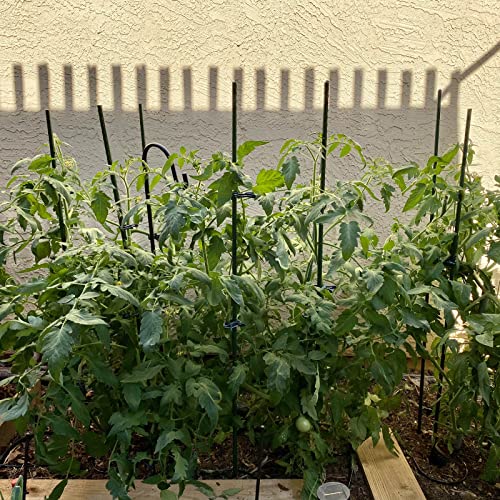 Garden Stakes, 48 Inch 4Ft Steel Plant Tomato Stakes, 25 Pack - size: 48 inch