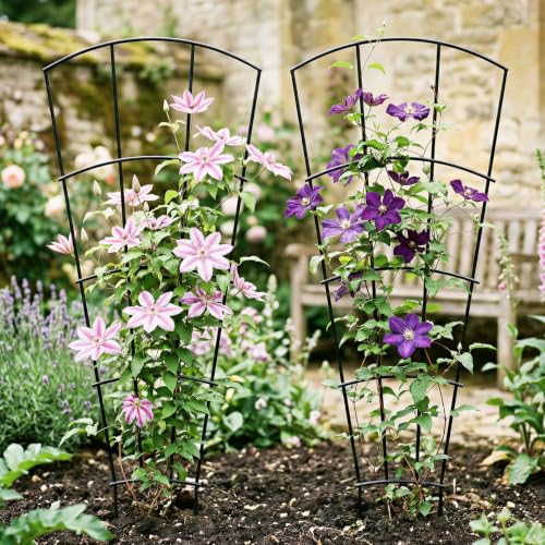 Thealyn 56" Tall Metal Plant Trellis for Climbing Plants, 8 Pack, Black - color: Black, size: 56 inch-8 Pack
