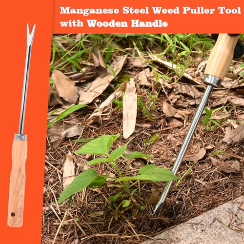 Wooden Handle Dandelion Weeder Tool - Polished Stainless Steel Dual - Forked Head Dandelion Weeder Puller Tool for Planting, Weeding, Flower & Vegetable Care with Nylon Nitrile Coated Gloves - color: silvery