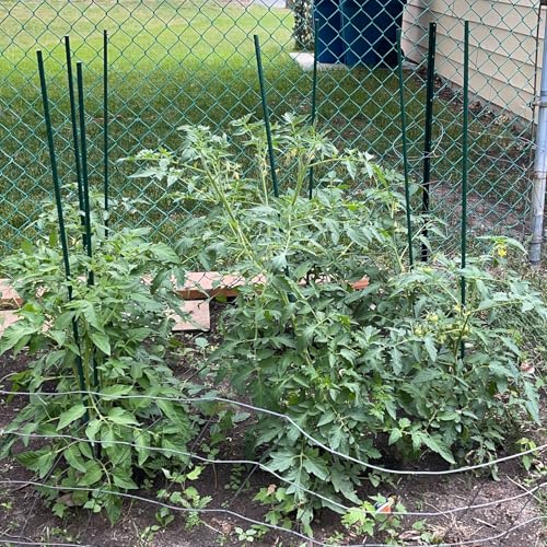 Garden Stakes, 48 Inch 4Ft Steel Tomato Plant Stakes, 20 Pack - size: 48 Inch-20 Pack