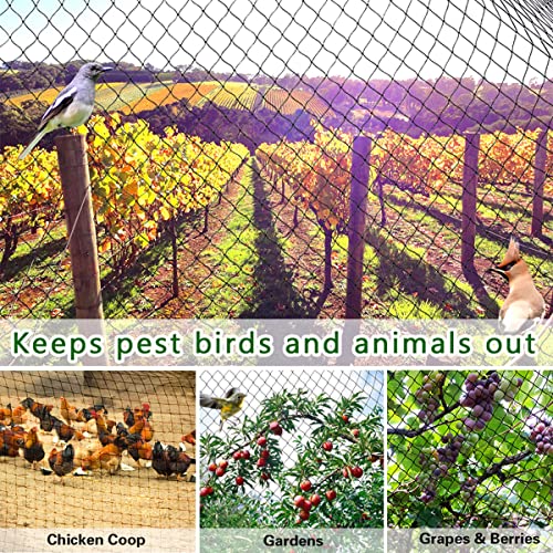 OGORI 25' x 100' Bird Netting Heavy Duty Nylon 3/4" Mesh Garden Netting Protect Fruit Trees, Plants and Vegetables - size: 25'×100'-3/4''