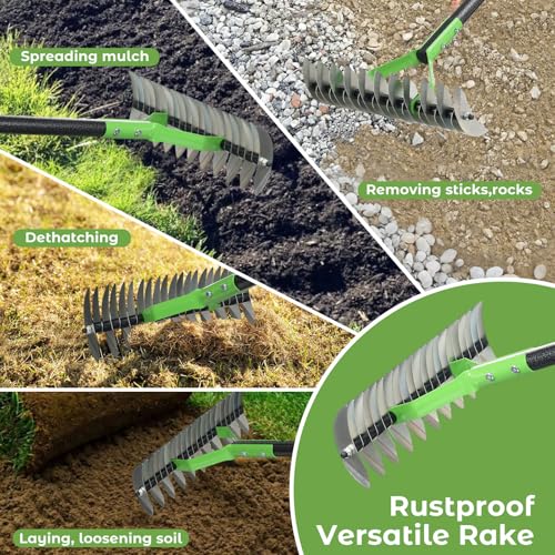 Thatch Rake, 65" Lawn Thatching Rake for Cleaning Dead Grass, 13 Inch Wide Heavy Duty 21 Teeth Steel Metal Rakes, Landscaping Raking Garden Tools for Lawn Care Loosening Leveling Soil Mulch