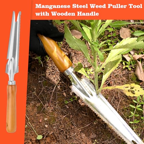 BokingOne 5-in-1 Stainless Steel Hand Weeder Puller Tool & Dandelion Fork Knife - Hand Weed Removal Tool for Weeding, Planting, Transplanting, Soil Cultivating & Flower Care(13.8-inches - color: 5-in-1 Stainless Weeder Tool