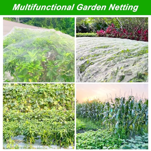 2 Pack 10X30FT Garden Netting, Garden Netting for Raised Beds, Ultra Fine Insect Netting for Vegetable Flowers Fruits, Garden Mesh Plant Cover Row Cover Barrier Protection Net for Birds - size: 10X30FT-2pack
