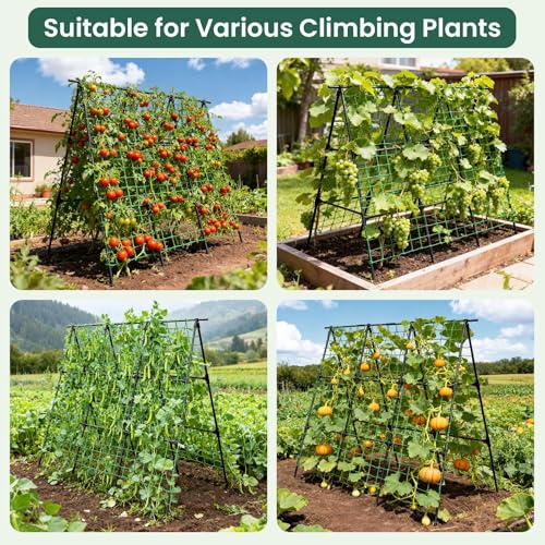 OTOSUNNY Cucumber Trellis for Raised Garden Bed, 50 x 48 in, Black - color: Black