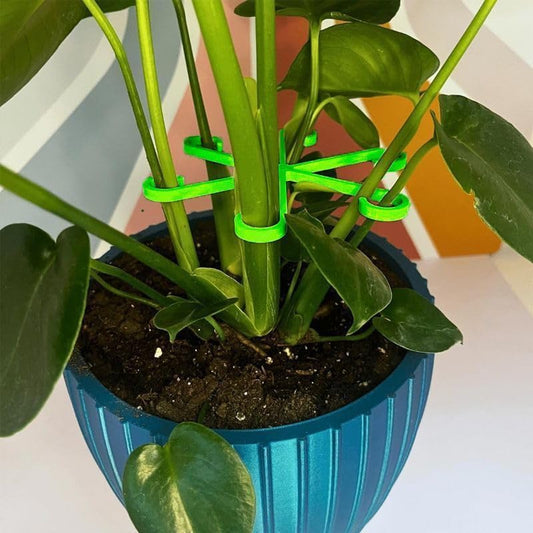 4PCS Reusable Plant Stem Support Stakes – Assorted Sizes Plant Growth Accessories for Indoor Climbing Plants & Home Decoration, Green - color: Green