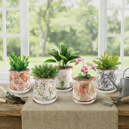 Ceramic-Planters-for-Indoor-Plants with Saucer, 6 inch Vintage Ice Crackle Glaze Plant Pots with Drainage Holes, Decorative Flower Pots for Outdoor Garden Home Decor, Tuscan Pot for Plant - color: Green Fern