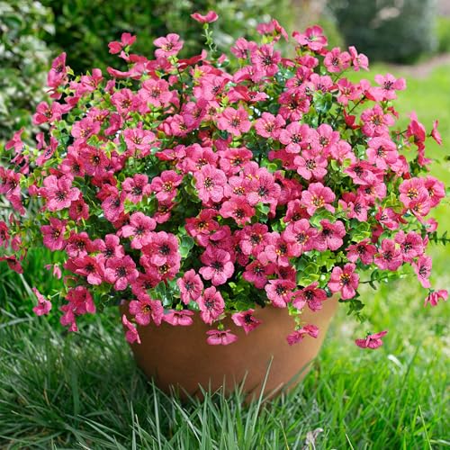 Daisy Artificial Flowers for Outdoors Decor, 12 Bundles Faux Daisy with Eucalyptus Fake Plants Greenery UV Resistant Look Real Colorful Faux Flowers for Outside Planter Porch Patio Gardens, Hotpink - color: Hot Pink
