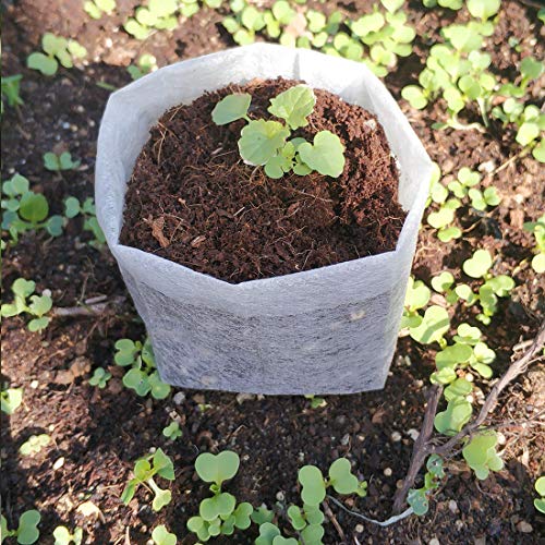 Belit Nursery Growing Bags, 100 Pcs Fabric Seedling Pots Non-Woven Pouch for Gardening Seed Plant Bag, Potato, Flower, Tomato Plant Starts (5.7" x 5.7 ") - size: 100 Pcs 5.7"x5.7"