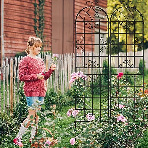 4 Pack 86.2x19.7in Metal Garden Trellis for Climbing Plants,Black Metal Garden Trellis for Vines Plant Rose Vegetable Support,Large Decorative Outdoor Trellis