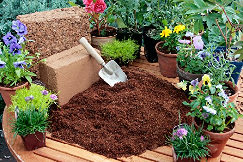 SuperMoss (23248) Coco Mulch, Mini Bale (0.6 ft3), Natural Brown - size: Mini Bale (0.6 ft3)