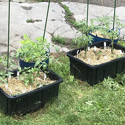 Garden Plant Stakes, 24 Inch 2Ft Steel Plant Stick Support, 25 Pack - size: 24 Inch