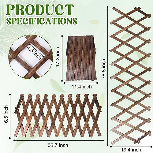 Wood Lattice Fence Panels for Outside 13.4"x78.8" Expandable Natural Wooden Wall Trellis Board Decorative Lattice Trellis Frame for Climbing Plants Vine Ivy Rose Outdoor Balcony Garden 2 Pcs - color: 2 pack