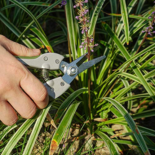 Garden Scissors Hand Pruner Pruning Arranging Flowers, Trimming Plants and Harvesting Herbs, Fruits or Vegetables 7 Inch 6146-13903-01A