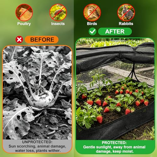 2-Pack Raised Garden Bed Covers, Pop-Up 30% Shade Mesh, 45 x 22 x 17.7 in - color: Black