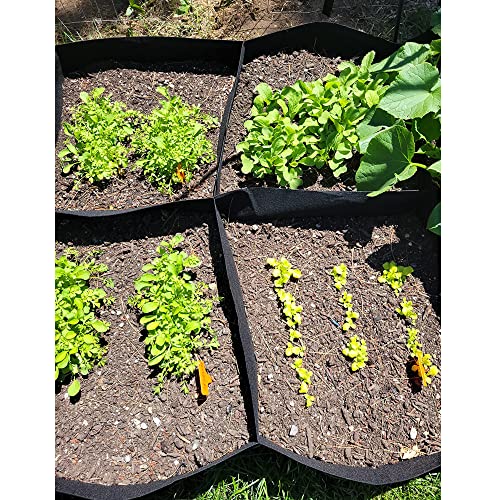CJGQ Fabric Raised Garden Bed 4x2x1ft Garden Grow Bed Bags for Growing Herbs, Flowers and Vegetables 55 Gallon - size: 4ft*2ft*1ft-1 Pack