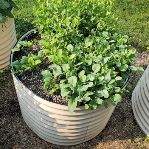 Vego garden 32" Tall 42" Round Raised Garden Bed Raised Bed Planter Box for Vegetables Flowers Patio-Pearl White - color: Pearl White, size: 1IN1 Round