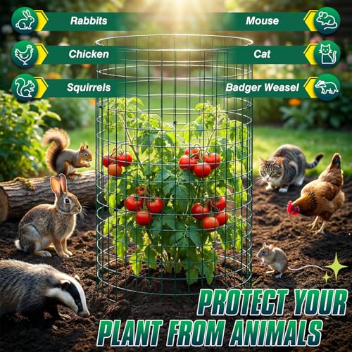 12 Pack 17" x 12" Tall Round Plant Cage - 36PCS Plant Support Cage Metal Wire Mesh Plant Protector for Outdoor Gardening Supplies Garden Protection Rabbits Chickens Ducks for Vegetables Flowers Shrubs