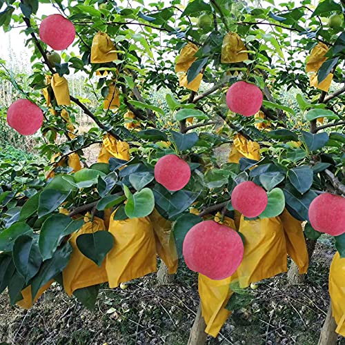 Fruit Protection Paper Bags 100pcs, 6.2X7.7inch, Suitable for: Oranges, Peaches, Apples and Other Fruits and Vegetables, Orchards, Frosts, Plant Covers (16x19.8) - size: 16x19.8 cm
