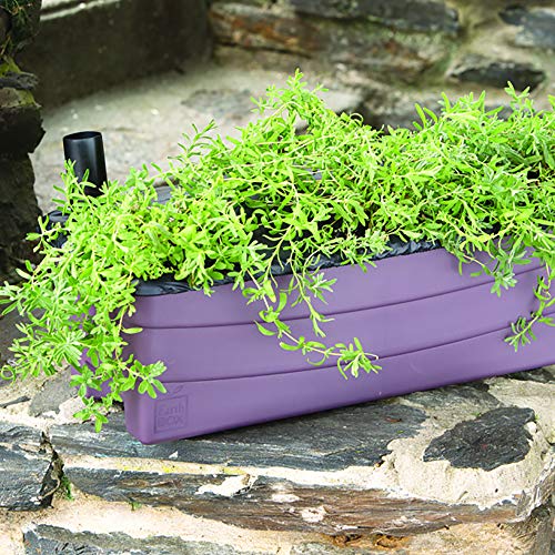 EarthBox 80606.01 Junior Garden Kit, Standard, Eggplant, Plastic, Indoor/Outdoor, 23"L x 9.5"W x 7.25"H - color: Eggplant, style: Standard