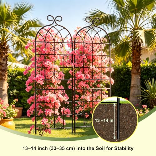 Lorenzo 71 x 40 Inch Rustic Iron Garden Trellis for Climbing Plants Outdoor, Black Metal Arch Decoration Plant Supporting Perfect for Roses Flower Cucumbers Courtyards Lawns Clematis - style: 2 Pack