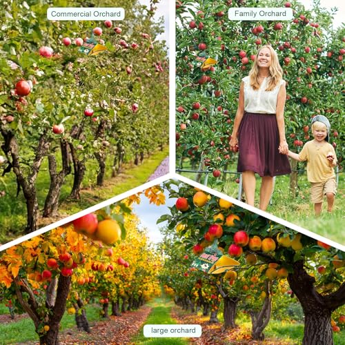 6 Pack Codling Moth Traps for Apple Trees with Pheromone Lures – Triangular Hanging Sticky for Apple Trees, Includes 6Traps & 6 Lures, for Orchard & Garden Use - style: for Apple