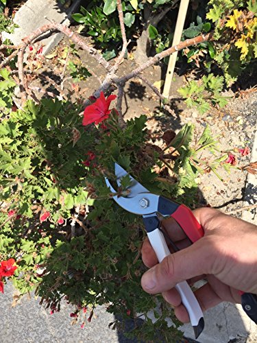 Japanese Steel Hand Pruner, 3/4" Cut, Red/White
