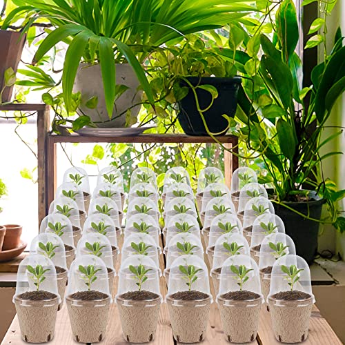 winemana 36 Set Plant Nursery Pots with Humidity Dome, Seed Starter Biodegradable Peat Pots, Seedlings Planting Pots with Labels for Indoor Outdoor Garden - size: Round