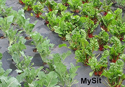 MySit 12" Garden Stakes Pins Landscape Staples 11Ga Tent Stakes 100 Pack - color: Silver, size: 12 Inch