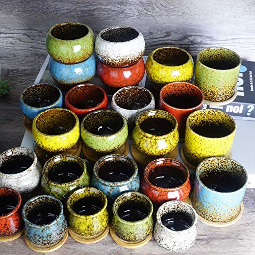 Succulent Pots, 4.2 Inch Small Flower Pots with Drainage - color: Blue/Green/Red/Yellow