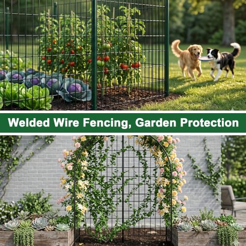 Black PVC Coated Welded Wire Fence 2FT(24") x 50FT, 16GA Garden Fencing Roll - size: 24in50FT