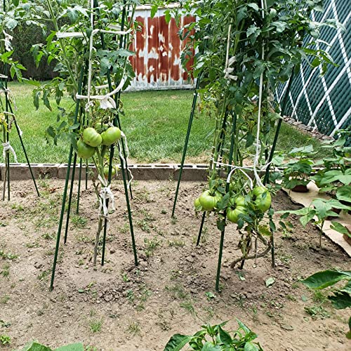 Garden Plant Stakes, 57 Inch (Approx 5Ft) Steel Tomato Stakes, 25 Pack - size: 57 Inch