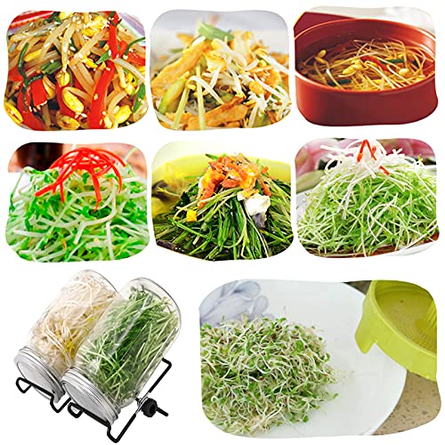 Lulonpon 4 Sprouting Jar Kit, Wide Mouth Quart Mason Jars with Stainless Steel Screen Sprout Lids, 86mm,1000ml,Stand,Tray and Canning Brush,Seed Sprouter Set for Growing Broccoli, Alfalfa, Mung Bean - color: White-NoCover4PTray