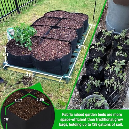 CJGQ 2 Pack Fabric Raised Garden Bed 6x3x1ft Garden Grow Bed Bags for Growing Herbs, Flowers and Vegetables 128 Gallon… - size: 6ft*3ft*1ft-2 Pack