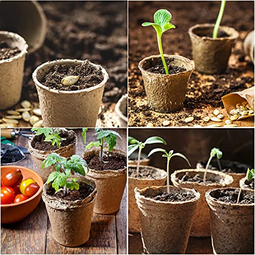 JERIA 200-Pack 3.15 Inch Peat Pots for Seedling with 200 Pcs Plant Labels,Outdoor Garden Germination Nursery Pots,Biodegradable Seed Starter Pots Kits - style: 200P