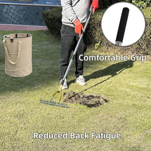 Thatch Rake, Dethatcher Rake for Grass to Cleaning Dead Grass