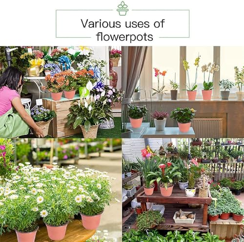Plastic Planter Nursery Seedlings Pots - 3 Inches 100Pcs Flower Plant Container Seed Starting Pot for Outdoor Succulents Seedlings Cuttings Transplanting - size: 3.5 x 3 x 3 in