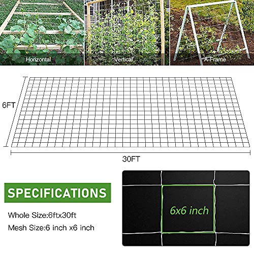 Trellis Netting, CANAGROW Heavy-Duty Garden Plant Trellis Netting for Climbing Plants, Outdoor Indoor Grow Net for Beans Tomatoes Peas Pumpkin Flowers, 6x30ft, 1 Pack - size: 6'x30'