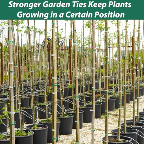 YDSL 100 Feet Soft Tie for Plants, 3 Pack Green Twist Garden Ties Gardening Supplies for Supporting Climbing Plants, Tomatoes, Vegetables, (Diameter - 2.5MM) - size: 300feet