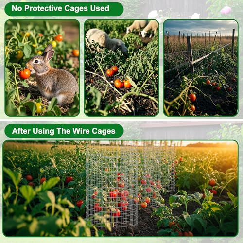 winemana 12 Set Garden Plant Protector Cage,36 Pcs 24x12 IN Metal Wire Protectors for Plants, Protection Cages with Stakes Nylon Ties Animals Barrier to Keep Rabbit Chicken Away from Flower Vegetables - color: Silver, size: 24 IN x12 IN